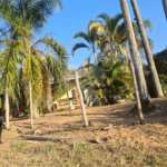 VENDA SÍTIO 48 hectares com estruura para granja, hidroponia e gado
