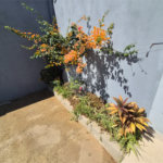 Dois imóveis em um terreno de 300 m² (12 x 25) - Com acesso independente