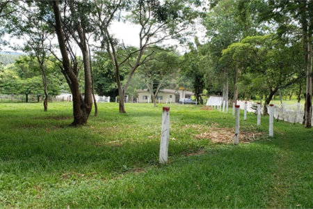 Sitio para venda.