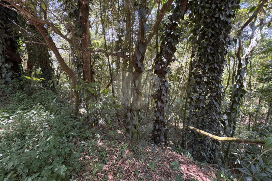 Terreno à venda em Serra da Cantareira, Mairiporã, SP