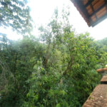 Casa de Vila para alugar com 3 quartos, sendo 1 suíte, em Serra da Cantareira, São Paulo, SP