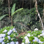 Terreno à venda em Roseira, Mairiporã, SP