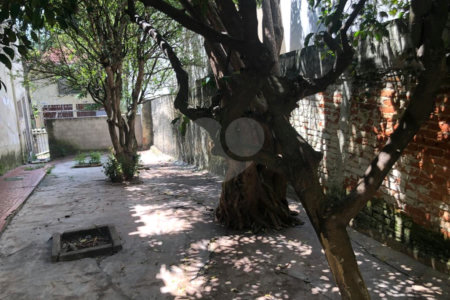 Casa à venda com 4 quartos, sendo 1 suíte,  em Jardim Colombo, São Paulo, SP