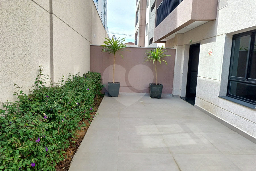 Apartamento para alugar com 2 quartos, sendo 1 suíte, em Tucuruvi, São Paulo, SP