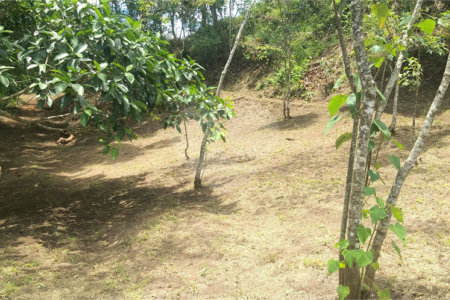 Sítio à venda no Centro, Monte Sião, MG