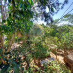Chácara à venda com 2 quartos em Bosque, Vinhedo, SP