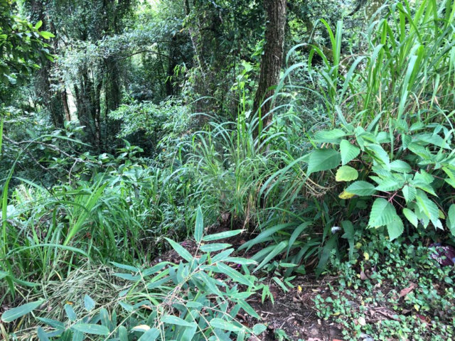 Terreno à venda no condomínio Gleba E1 E2, Mairiporã - SP