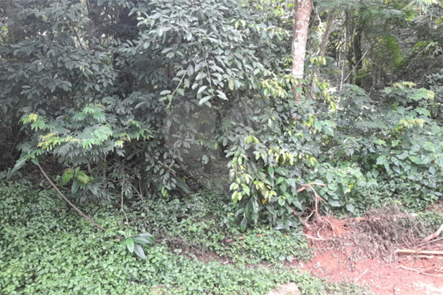 Terreno à venda em Roseira, Mairiporã, SP
