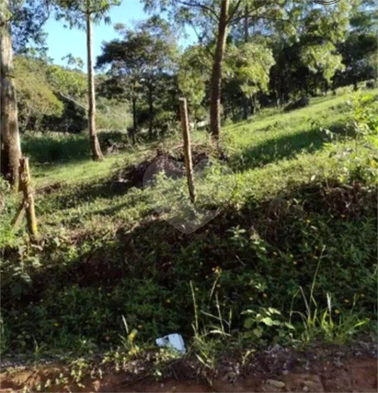 Área de Terra à venda em Alto da Serra (mailasqui), São Roque, SP