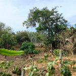 Chácara à venda com 4 quartos, sendo 1 suíte,  em Vale San Fernando, Itapetininga, SP