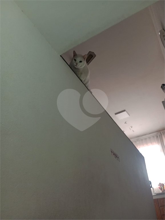 Casa à venda com 3 quartos, sendo 1 suíte,  no Centro, Mogi das Cruzes, SP