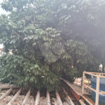Apartamento à venda com 1 quarto em Tijuca, Rio de Janeiro, RJ