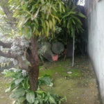 Terreno à venda em Vila Romero, São Paulo, SP