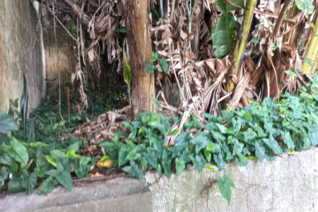 Sobrado à venda com 2 quartos em Vila Mazzei, São Paulo, SP