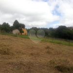 Terreno à venda em Jardim dos Ipês, Mairinque, SP