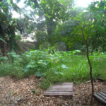 Terreno à venda em Casa Verde, São Paulo, SP