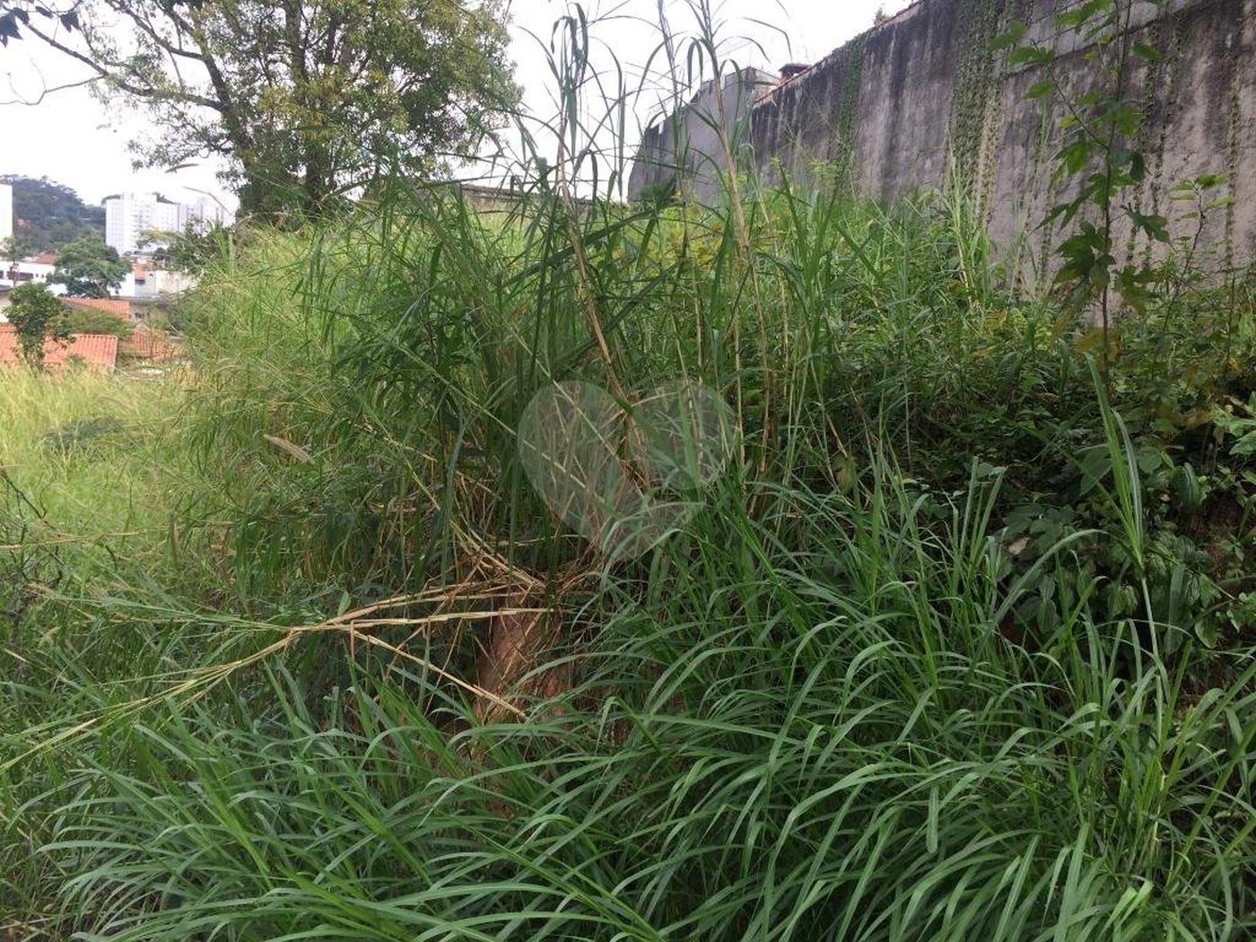 Terreno à venda em Tremembé, São Paulo, SP