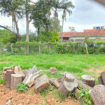Terreno à venda em Jardim do Engenho, Cotia, SP