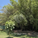 Casa à venda com 2 suítes no condomínio Villággio Álvaro Scalet, Salto - SP