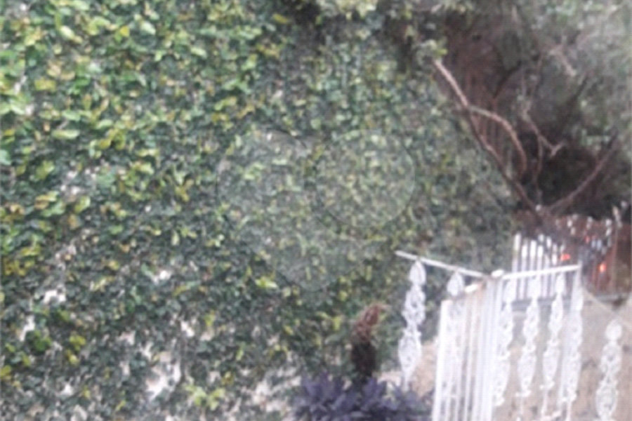 Sobrado à venda com 3 quartos, sendo 1 suíte, em Jardim França, São Paulo, SP