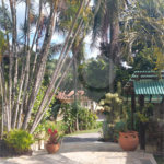Casa à venda ou para alugar com 5 quartos, sendo 1 suíte, em Cumbari, Mairiporã, SP
