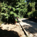 Terreno à venda em Tremembé, São Paulo, SP