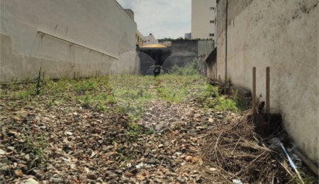 Terreno à venda ou para alugar em Santana, São Paulo, SP
