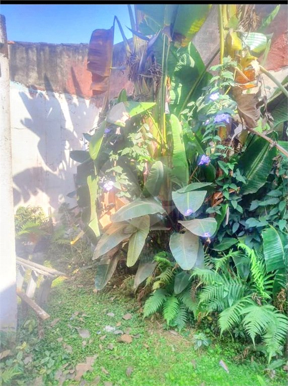 Casa à venda com 1 suíte em Indianópolis, São Paulo, SP