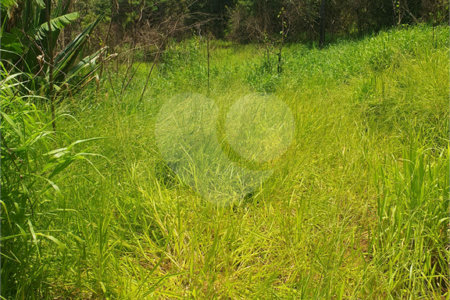 Terreno à venda em Vila Moraes, Mogi das Cruzes, SP