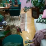 Apartamento à venda com 3 quartos, sendo 1 suíte, em Vila Medeiros, São Paulo, SP