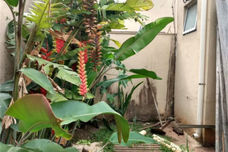 Sobrado à venda com 3 suítes em Jardim Colombo, São Paulo, SP