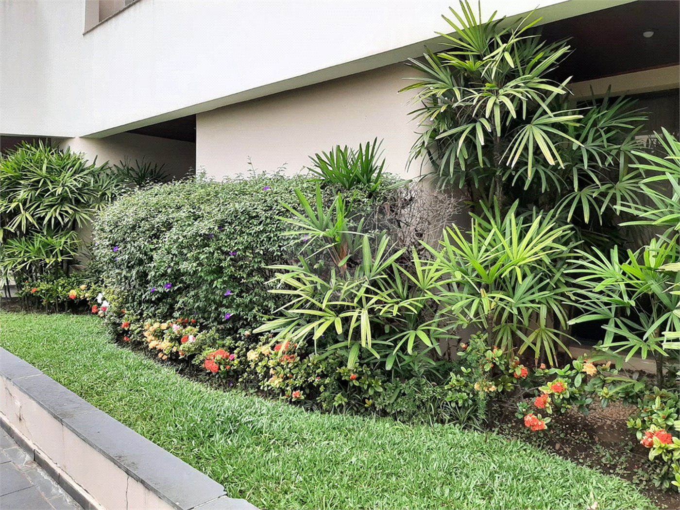 Apartamento à venda com 4 quartos, sendo 2 suítes,  em Jardim São Paulo(zona Norte), São Paulo, SP