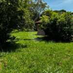 Chácara à venda em Loteamento Terras de São Pedro e São Paulo, Salto, SP