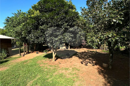 Chácara à venda em Jardim Universitário, Ponta Porã, MS