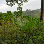Terreno à venda em Barro Branco (zona Norte), São Paulo, SP