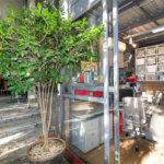 Casa à venda ou para alugar com 3 quartos, sendo 1 suíte, em Butantã, São Paulo, SP