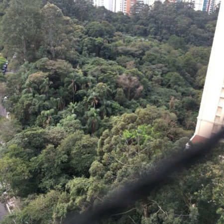 Apartamento à venda com 4 suítes em Paraíso do Morumbi, São Paulo, SP
