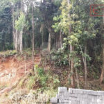 Terreno à venda em Serra da Cantareira, Mairiporã, SP