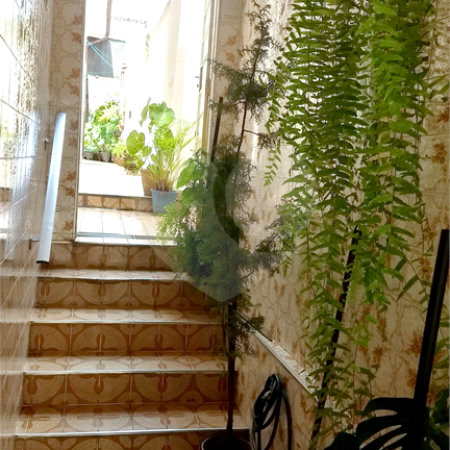 Casa à venda com 3 quartos em Saúde, São Paulo, SP