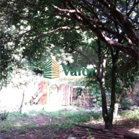 Terreno com uma casa antiga