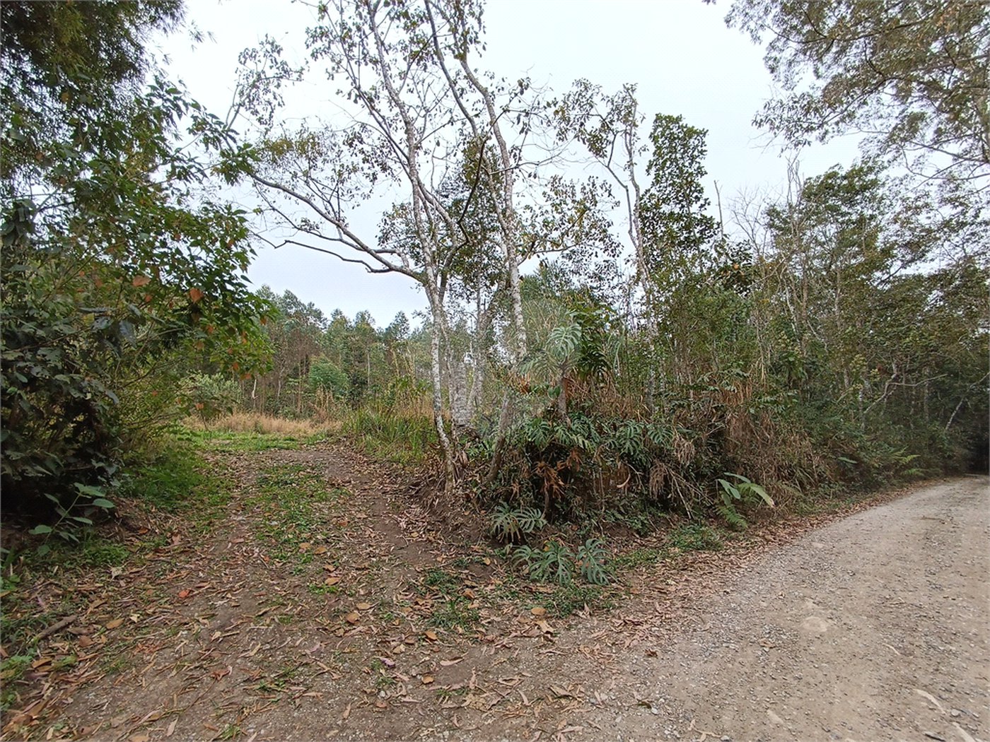 Terreno à venda em Vila Junqueira, São Roque, SP