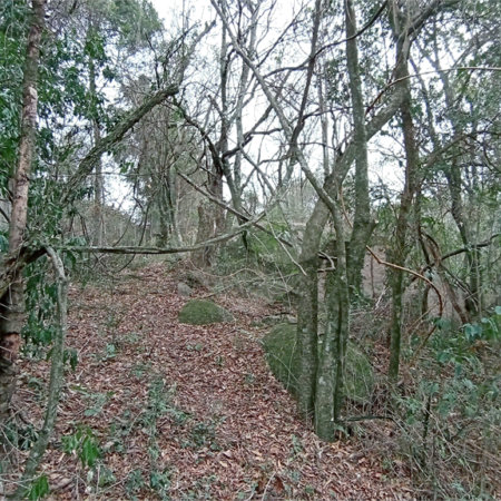 Terreno à venda em Chácaras Alpina, Valinhos, SP