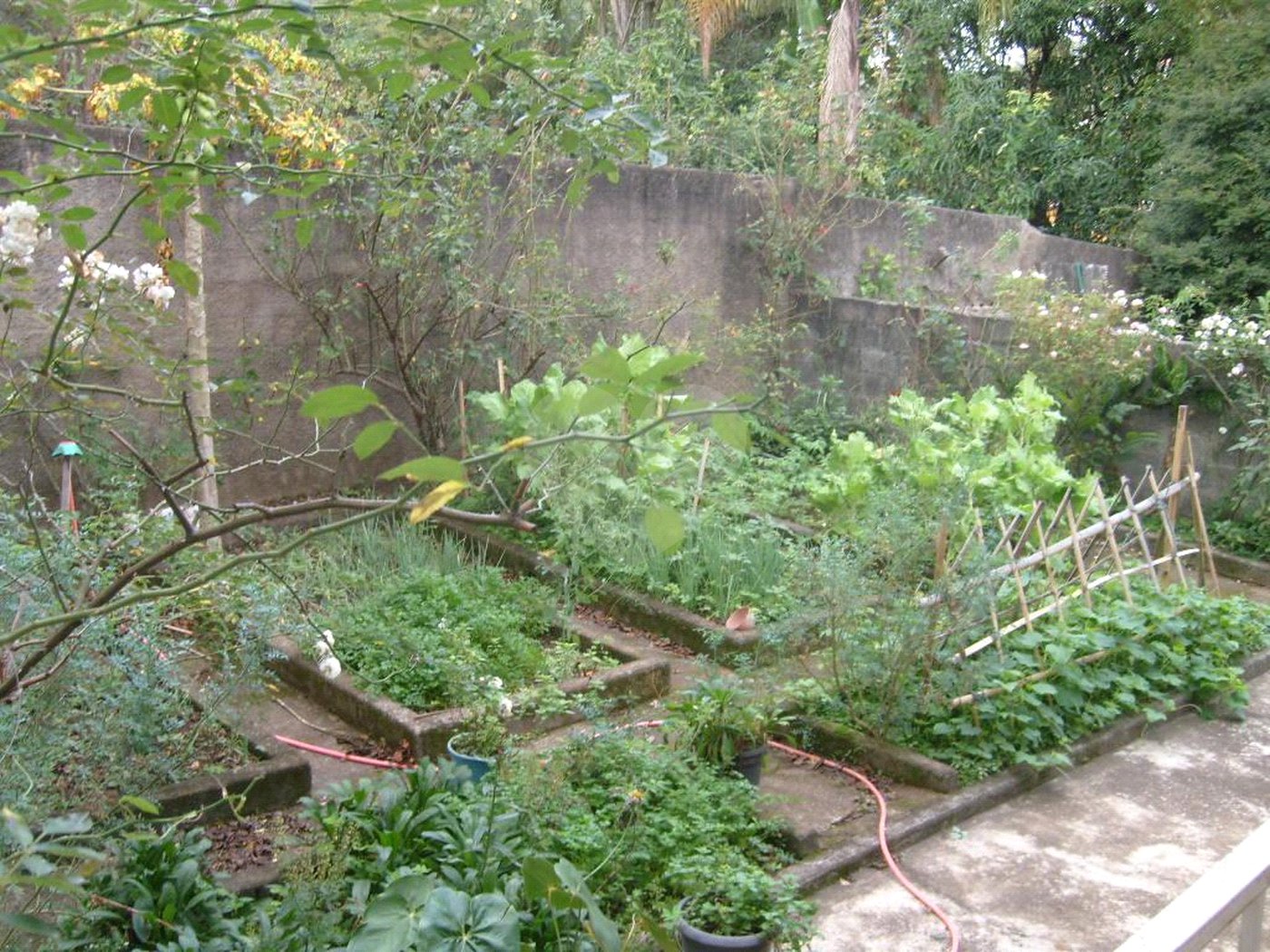 Casa à venda ou para alugar com 4 quartos, sendo 2 suítes,  no Centro, Vinhedo, SP