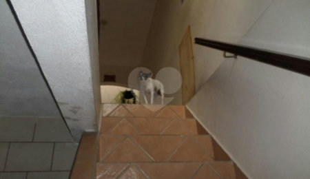 Sobrado à venda com 3 quartos, sendo 2 suítes,  em Parada Inglesa, São Paulo, SP