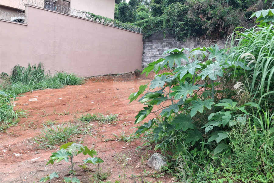 Terreno à venda em Vila Albertina, São Paulo, SP