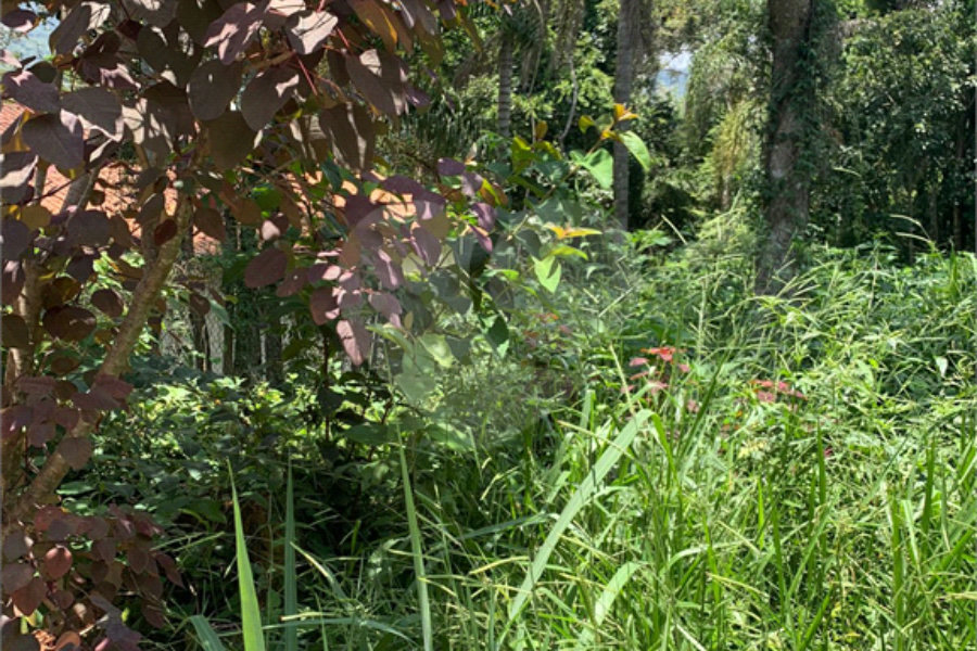 Terreno à venda em Roseira, Mairiporã, SP