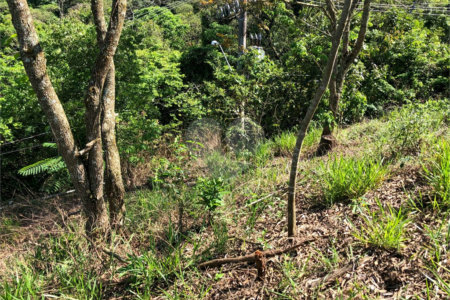 Terreno à venda em Bairro do Cambará, São Roque, SP