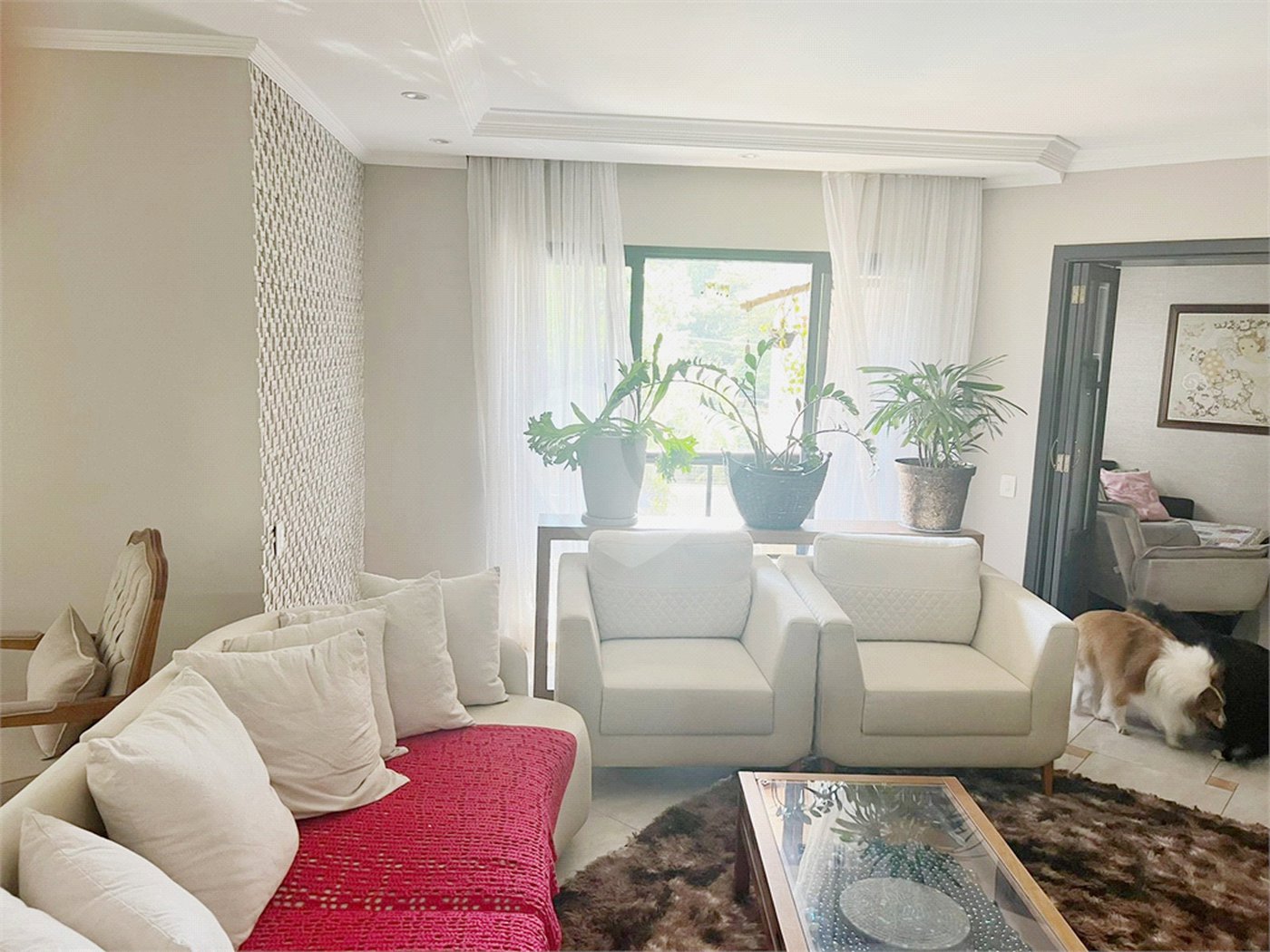 Apartamento Jardim Anália Franco!