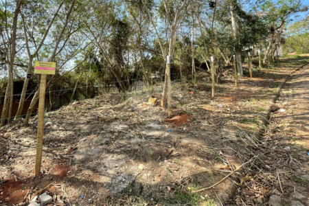 Terreno à venda em Albatroz, Armação dos Búzios, RJ