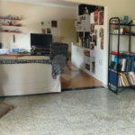 Apartamento à venda com 2 quartos em Perdizes, São Paulo, SP
